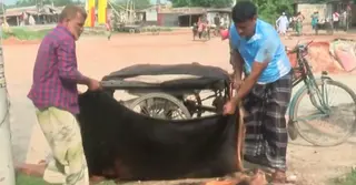 যশোরে পশুর চামড়ার দাম নিয়ে হতাশ ব্যবসায়ীরা